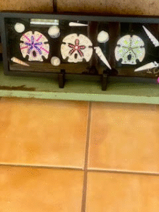 Family of 3
