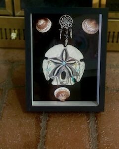 Star Catcher