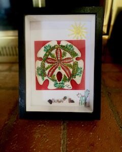 Arizona – Framed Sand Dollar Art with Natural Shell Accents