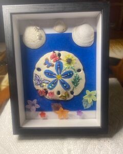 Prince – Framed Sand Dollar Art with Natural Shell Accents