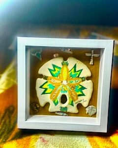 The Pattern – Framed Sand Dollar Art