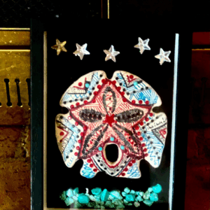 Starfish Sand Dollar